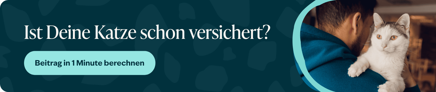 Blog banner Is jouw hond al verzekerd Desktop NL &ndash; 1