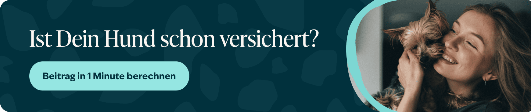 Blog banner 1 Is jouw hond al verzekerd Desktop NL &ndash; 1