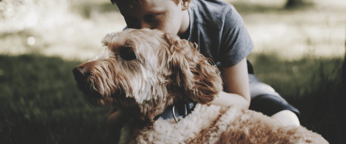 Hund und Kind zusammenf&uuml;hren