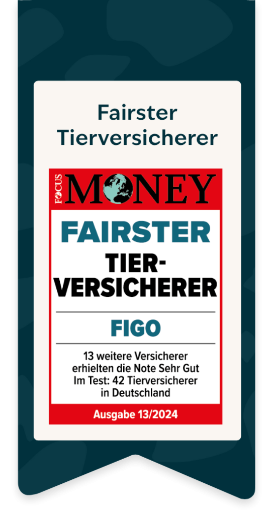 Anämie beim Hund Symptome & Ursachen Figopet.de