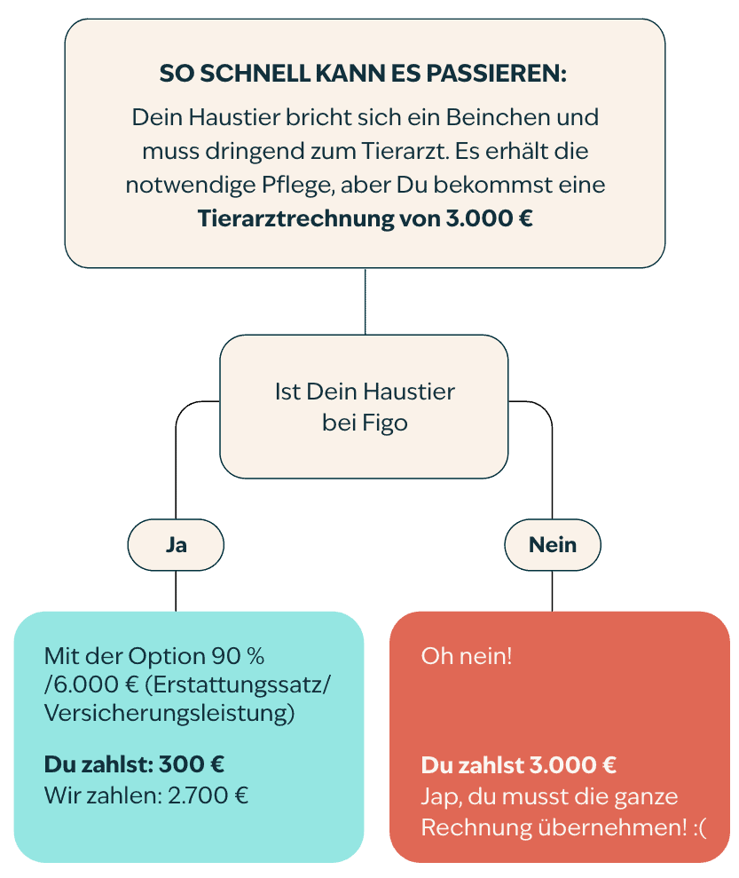 Flussdiagramm der Tierarztkosten