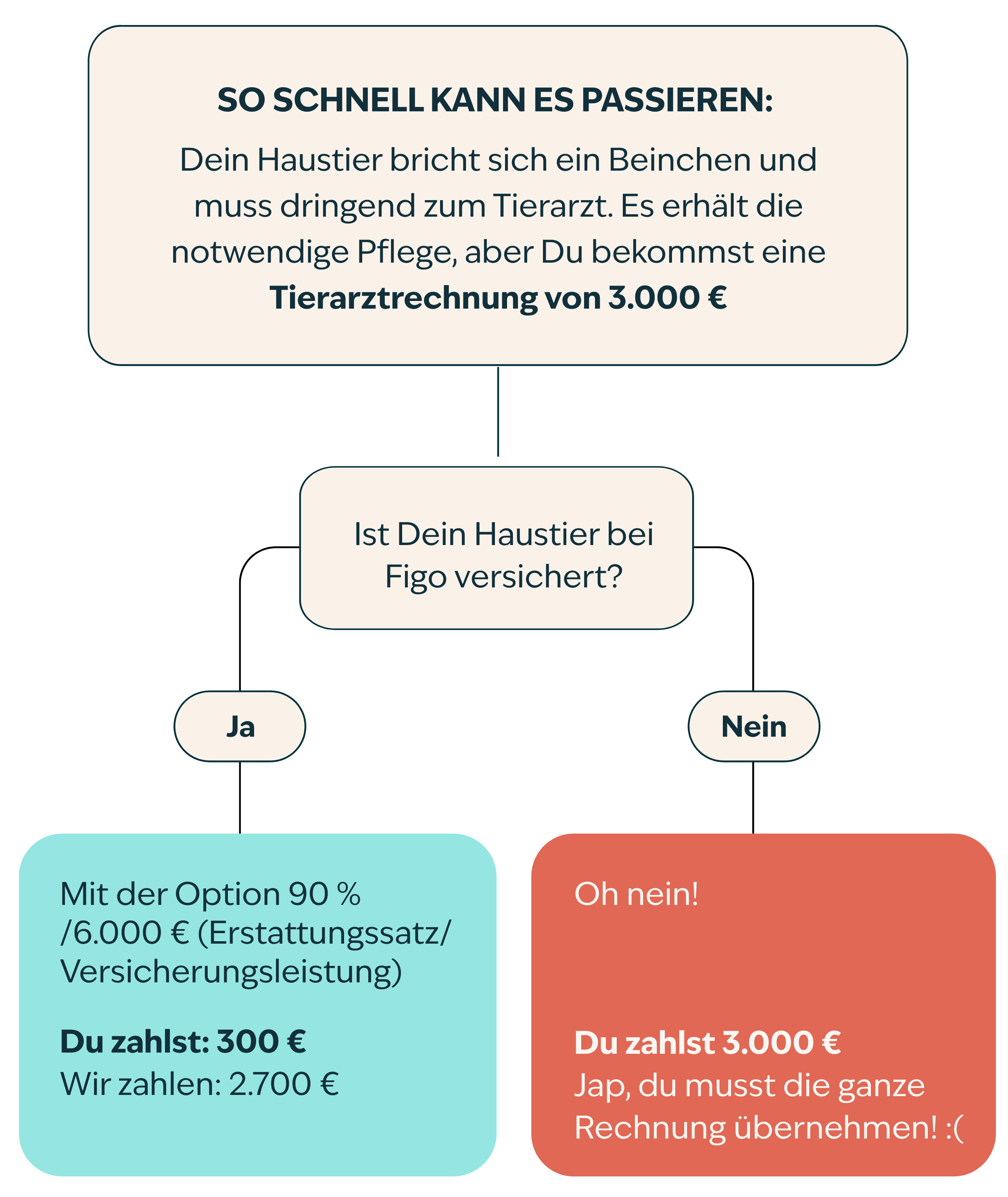 Ablaufdiagramm der Tierarztkosten f&uuml;r K&auml;tzchen