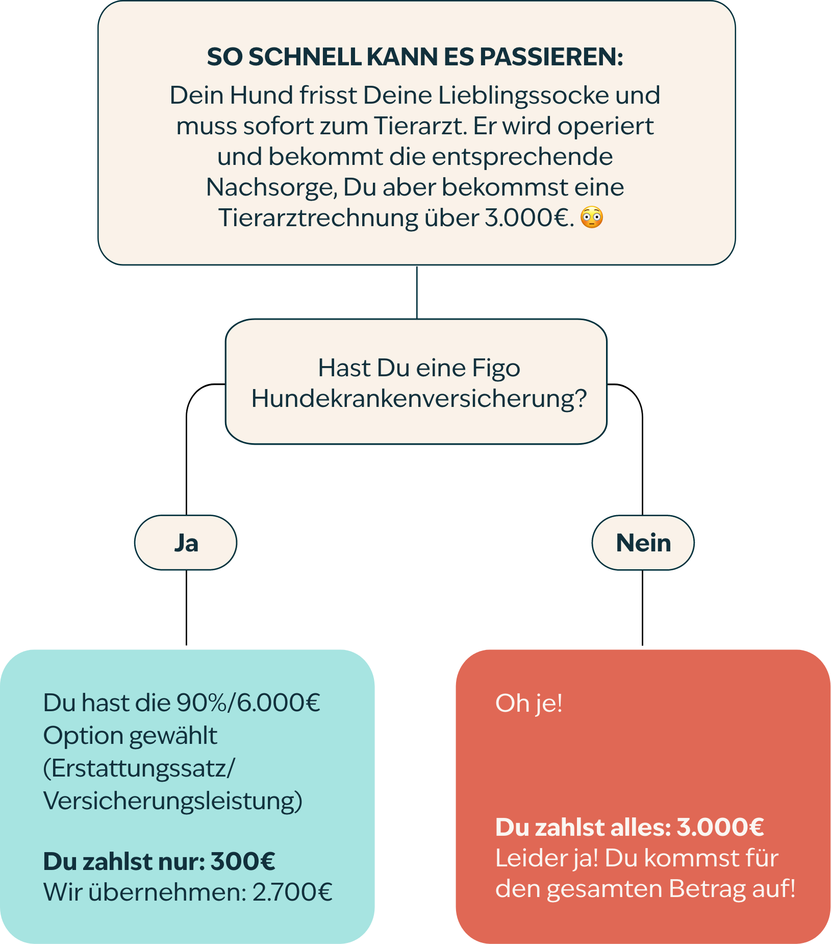 Stroomschema Hond DE