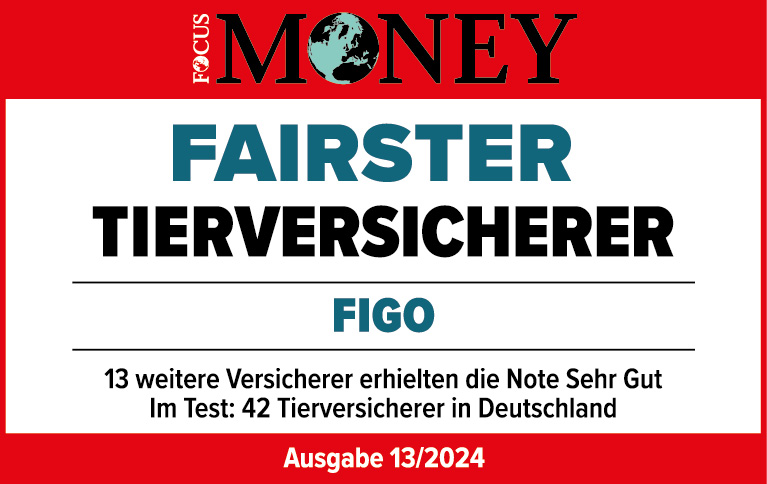 Focus Money seal