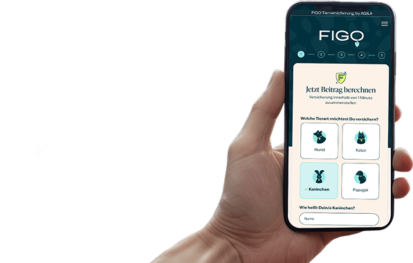 Iphone hand CatFunnel NL 2 2