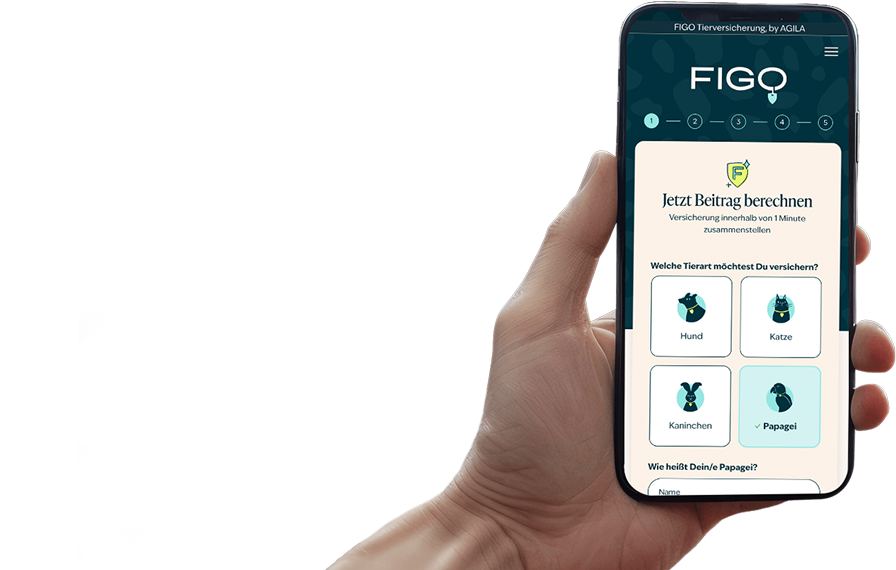 Iphone hand CatFunnel NL 2 9