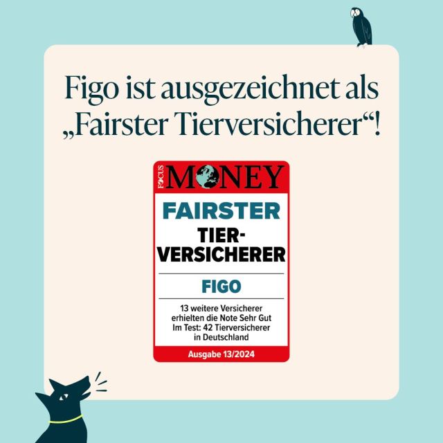 Großartige Neuigkeiten – Figo ist ausgezeichnet als „Fairster Tierversicherer“! 🥳🍾

Besonders in den Bereichen Transparenz, Tarifleistung und Kund*innenservice haben wir gezeigt, dass wir unseren Job richtig gut machen. 💪

Mit unserer Tierkrankenversicherung erhält jedes Haustier die medizinische Versorgung, die es verdient. Denn Eure Bindung verdient den besten Schutz. 

#figo #tierkrankenversicherung #haustierversicherung #focusmoney #fairstertierversicherer #tierschutz #tierarztrechnung #hunde #katzen #kaninchen #papageien #tierarzt #tierarztbesuch